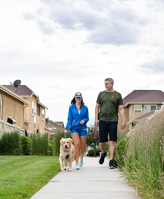 A man and woman walk their dog together