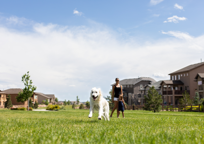 A dog runs through grass as a woman and child watch